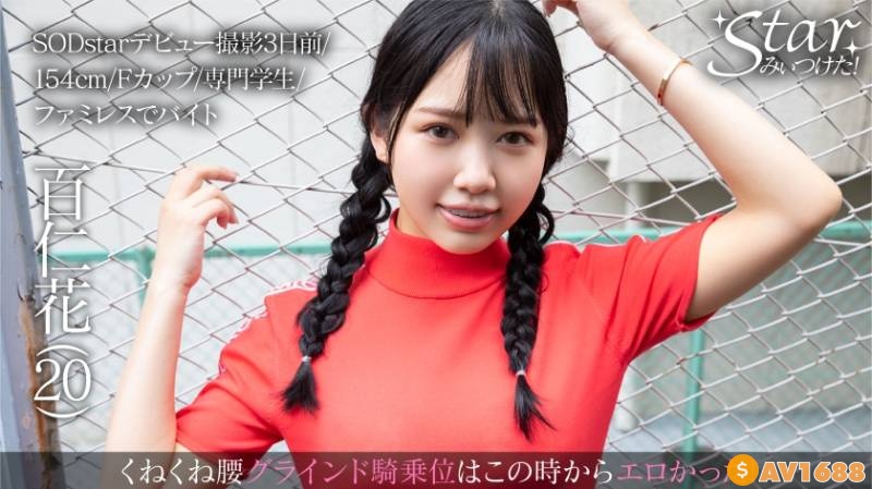 576STZY-005 百仁花(20)